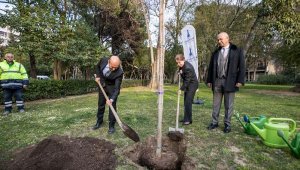 Brezilya'dan İzmir'e kardeşlik fidanı