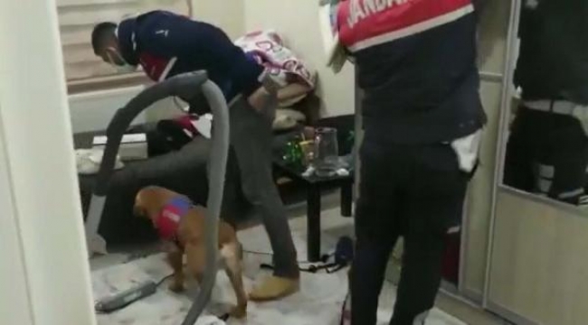 Çanakkale ve Balıkesir'de uyuşturucu baskını