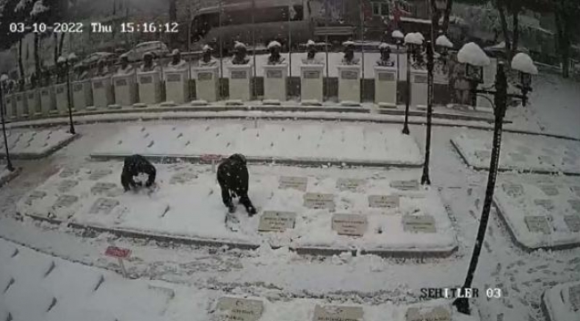 Çanakkale'de 2 genç, şehitlikteki mezar taşlarını temizledi