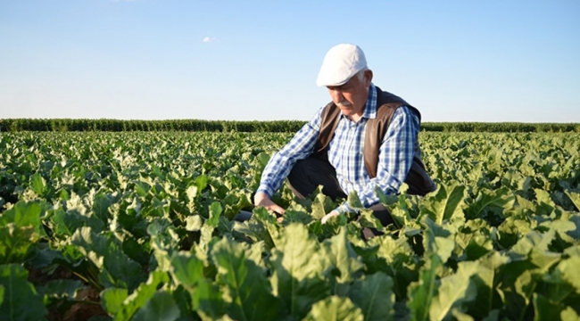 Çiftçilere müjde: Alım ve fiyat garantili sistem geliyor