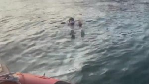 Denize düşen yaşlı kadını Sahil Güvenlik kurtardı