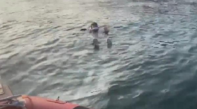 Denize düşen yaşlı kadını Sahil Güvenlik kurtardı