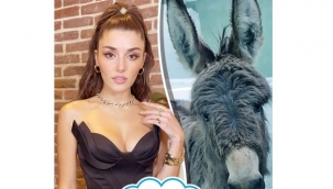 Dizi oyuncusu Hande Erçel, sıpanın annesi oldu