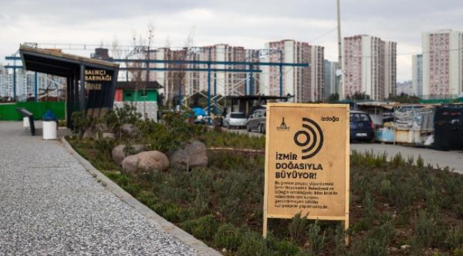 'Doğa Şehirde' projesi Mavişehir Balıkçı Barınağı ile başladı