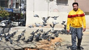 Fırındaki ekmek kırıntıları ile 15 yıldır kuşları besliyor