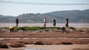 Flamingolarıyla ünlü alanda çevre temizliği yapıldı