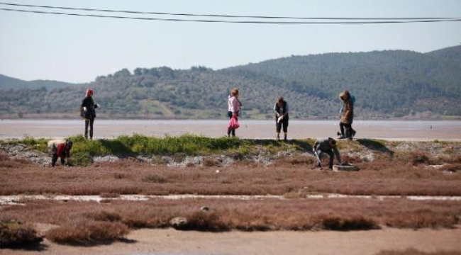 Flamingolarıyla ünlü alanda çevre temizliği yapıldı