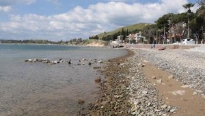 Foça'da deniz 20 metre çekildi