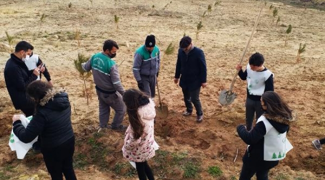 Gelibolu'da öğrenciler, Dünya Ormancılık Günü'nde 100 fidan dikti
