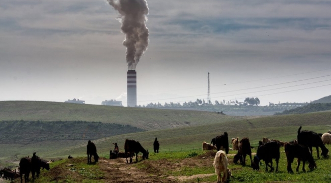 Hava kirliliği, trafik kazalarından 7 kat fazla can aldı