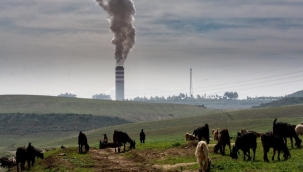 Hava kirliliği, trafik kazalarından 7 kat fazla can aldı