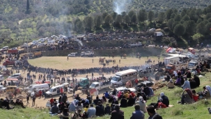 Konaklı, 25. kez deve güreşlerine ev sahipliği yaptı