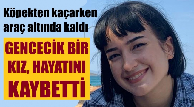 Köpekten kaçarken otomobil çarptı, hayatını kaybetti