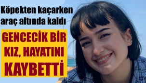 Köpekten kaçarken otomobil çarptı, hayatını kaybetti