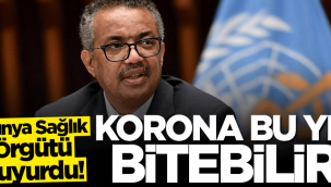 Koronavirüs salgını bu yıl bitebilir