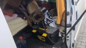 Minibüsteki 3 kilo 760 gram esrarı 'Arthur' buldu