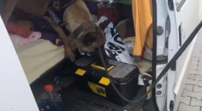 Minibüsteki 3 kilo 760 gram esrarı 'Arthur' buldu