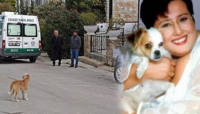 O morga götürülürken, köpeği ardından acıyla baktı