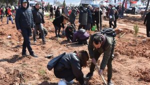 Öğrenciler fidanları toprakla buluşturup, can suyu verdi