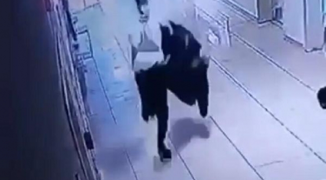 Saldırgan tabancayı alçılı koluna saklayıp hastaneye girmiş