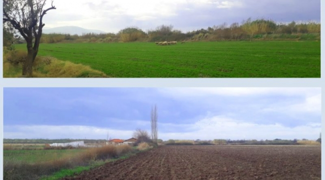 Şehir Plancıları, Başkan Soyer'e üç konuda çağrı yaptı