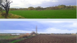 Şehir Plancıları, Başkan Soyer'e üç konuda çağrı yaptı