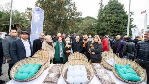 Sokak hayvanları için İzmir Veteriner Hekimleri Odası ile iş birliği