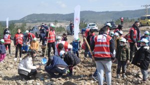 Soma'da 2 bin 500 fidan toprakla buluşturuldu