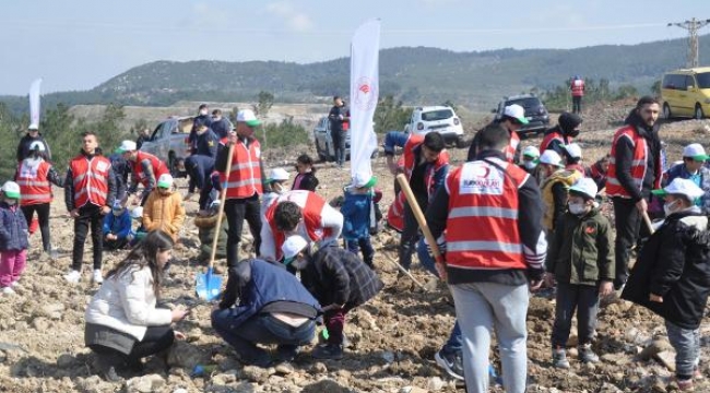 Soma'da 2 bin 500 fidan toprakla buluşturuldu