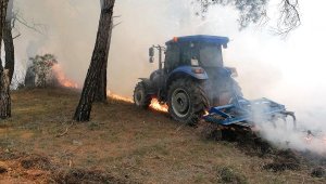 Soma'da çıkan orman yangını söndürüldü