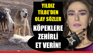 Ünlü şarkıcı köpekleri hedef aldı