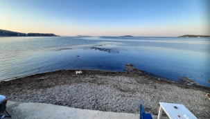 Urla'da hayret ettiren görüntü