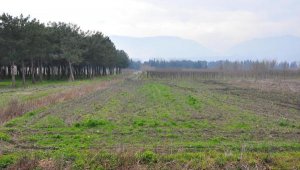 Volkswagen'in yatırımdan vazgeçtiği arazi imara açılmasın