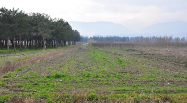 Volkswagen'in yatırımdan vazgeçtiği arazi imara açılmasın