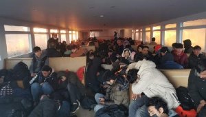 Yolcu motorunda 251 kaçak göçmen yakalandı