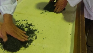 1 kilo çay, 226 bin liraya satıldı