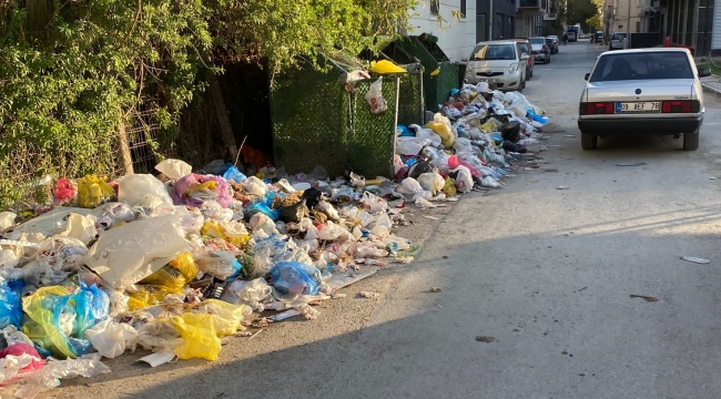 AK Partili Karatekin'den çöp tepkisi: Grev bitti hala çöpler sokaklardan taşıyor