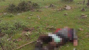 Amcasının oğlu av tüfeğiyle başından vurdu