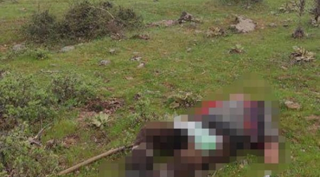 Amcasının oğlu av tüfeğiyle başından vurdu