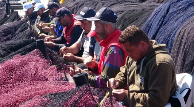 Balıkçılar müsilaj etkisiyle umduğunu bulamadan sezonu kapattı