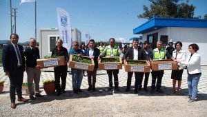 Bodrum Belediyesi, Karaova'da üreticiye 142 bin hibe fide dağıttı