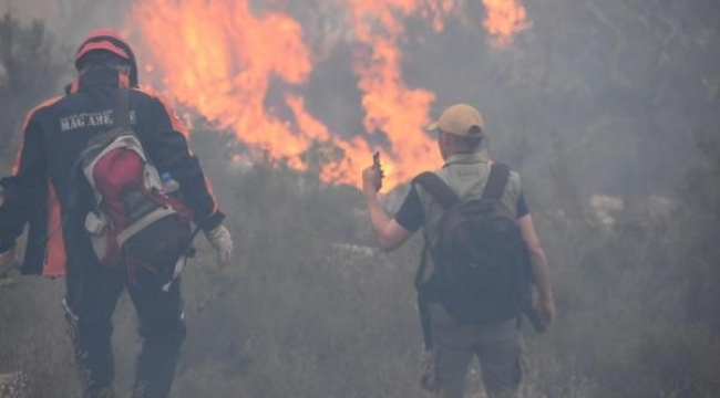 Bodrum'da sabotaj! Ateşe verdiler iddiası