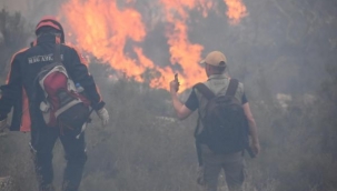 Bodrum'da sabotaj! Ateşe verdiler iddiası