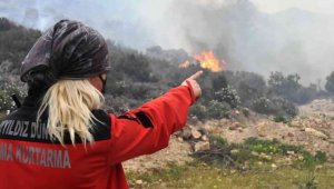 Bodrum'daki o yangın sabotaj çıktı! 3 tutuklama