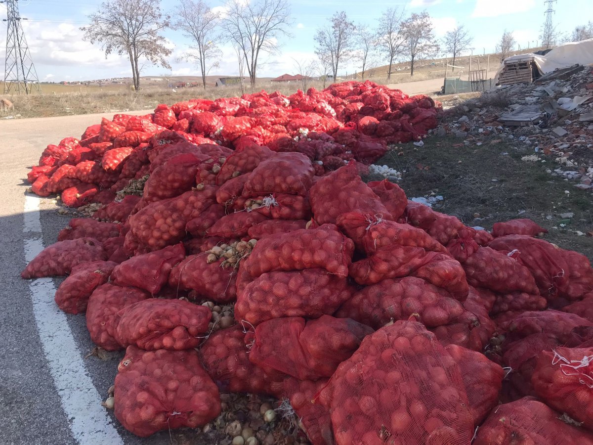 Boş araziye yüzlerce kilo soğan atıldı! 