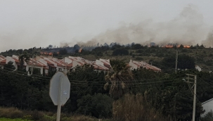Çeşme'de korkulu anlar! Alevler yükseldi