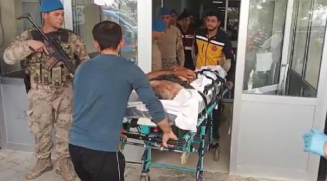 Çifte cinayetin şüphelisi ormanda yakalandı