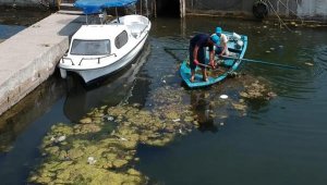 Dalyan Kanalı'ndan 10 ton atık çıkarıldı