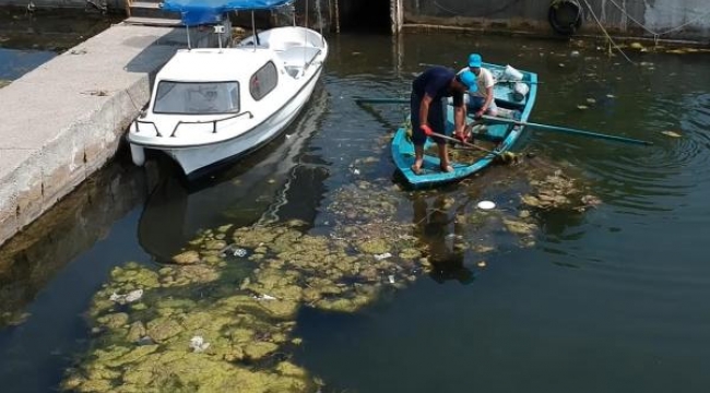 Dalyan Kanalı'ndan 10 ton atık çıkarıldı