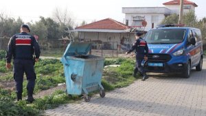 Denizli'de 20 kedi ve köpek ölü bulundu